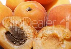 Ripe apricots close up