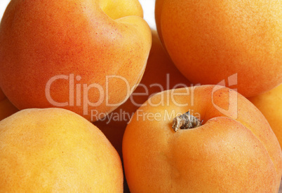 Ripe apricots close up