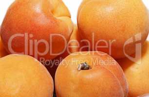 Ripe apricots close up