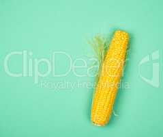 one ripe yellow corn cob on a green background,