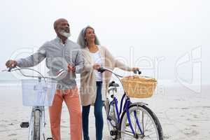 Couple holding bicycles by the beach