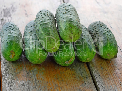 Fresh Green Cucumbers on the Old Wooden Table