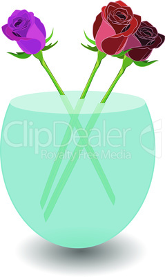 Bouquet of 3 roses in a vase of water. Vector illustration beatiful roses in nice transparent bowl with water