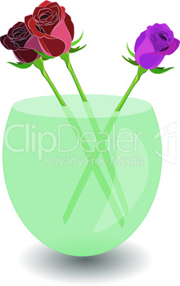 Bouquet of 3 roses in a vase of water. Vector illustration beatiful roses in nice transparent bowl with water