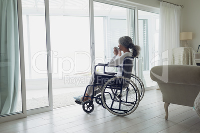 Woman on wheelchair drinking coffee