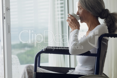 Woman on wheelchair drinking coffee