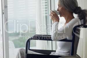 Woman on wheelchair drinking coffee