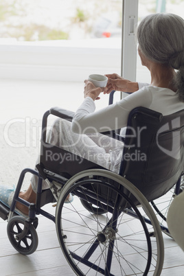 Woman on wheelchair drinking coffee