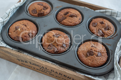 Schokoladen Muffins