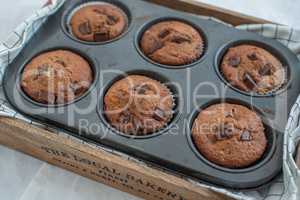 Schokoladen Muffins