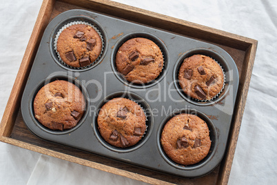 Schokoladen Muffins