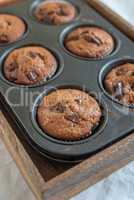 Schokoladen Muffins