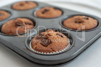 Schokoladen Muffins