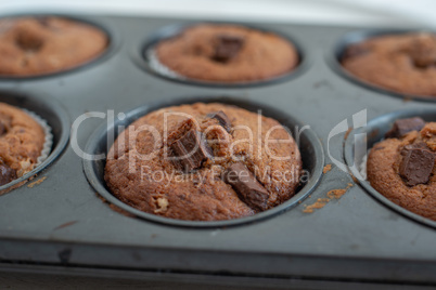 Schokoladen Muffins