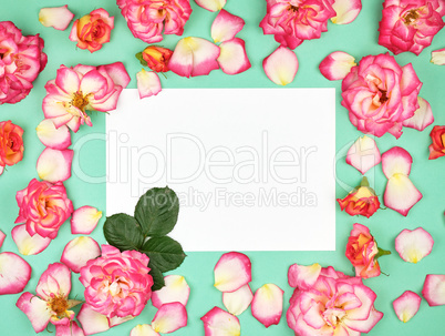 empty  white paper sheet and buds of pink roses