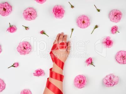 female hand with smooth skin wrapped with red silk ribbon