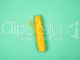 one ripe yellow corn cob on a green background