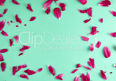 red peony petals on a green background, full frame