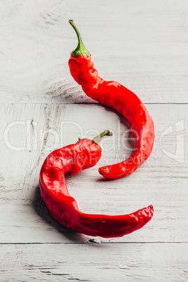 Two chili peppers on white background.