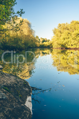 Autumn forest with reflection on water surface