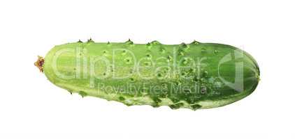 One green cucumber