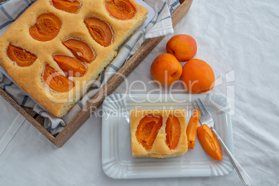 Marillen Kuchen