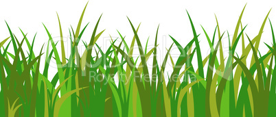 Green blue grass stalks, tuft and seamless pattern isolated on white background. Vector illustration for cartoon landscape