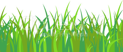 Green blue grass stalks, tuft and seamless pattern isolated on white background. Vector illustration for cartoon landscape