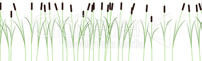 Thin reed stalks plant seamless pattern on white background