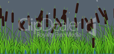 Vector reed stems plants with leaves and grass on the river and lake water. Seamless pattern on dark style background