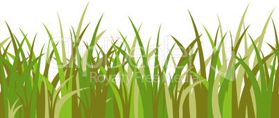 Green grass stalks, tuft and seamless pattern isolated on white background. Vector illustration for cartoon landscape