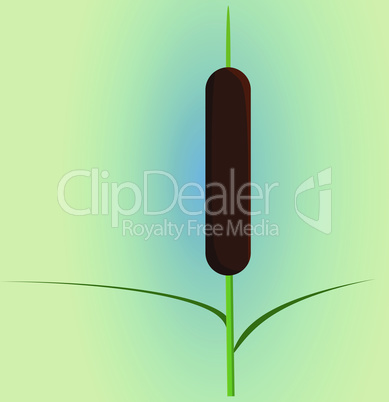 Single reed stem with leaves plant. Vector artwork with yellow blue background