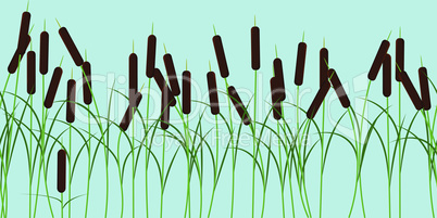 Vector reed stems plant seamless pattern on blue background