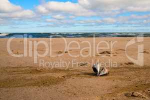 soda can on a beach of the Baltic sea in Poland