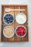 Joghurt mit Müsli und Beeren