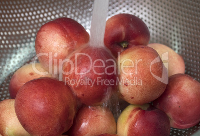 Peaches nectarine. Fresh red ripe nectarines washed under runnin