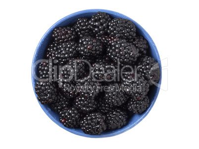 Ripe fresh blackberries in a bowl on white background. Top view.