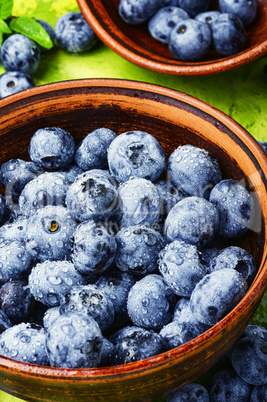 Berries blueberries or bilberry