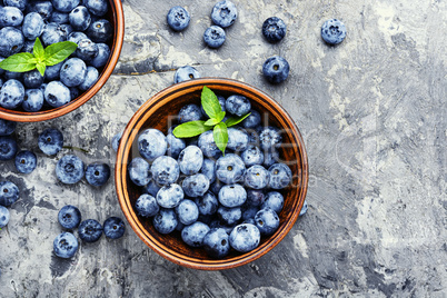 Berries blueberries or bilberry