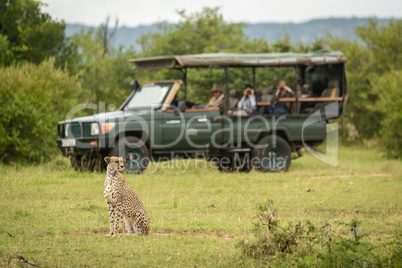 Cheetah sitting on grass with truck behind