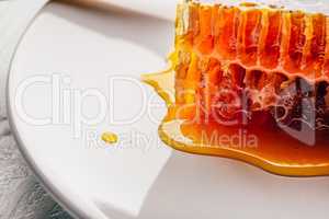 Sweet honeycomb on light background