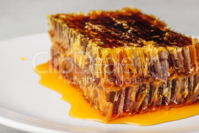 Delicious honeycomb on light background