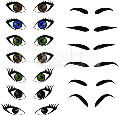 Female woman eyes and brows vector collection set. Cartoon and art work decoration eyes design. Vector illustration