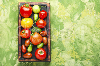 Red ripe tomatoes