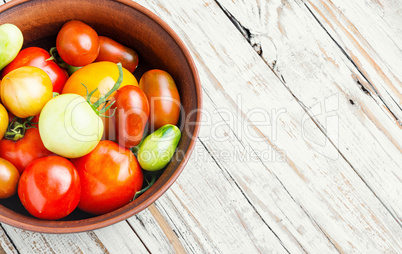 Harvest fresh tomato