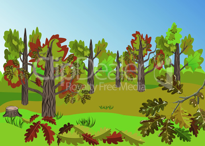 Autumn Oak Tree Grove landscape with beatiful colorful oak leaves folliage and outstanding landscape view