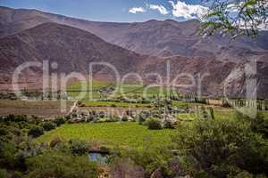 Weinbau im Elqui-Tal