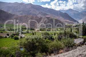 Grüne Oase im Elqui-Tal