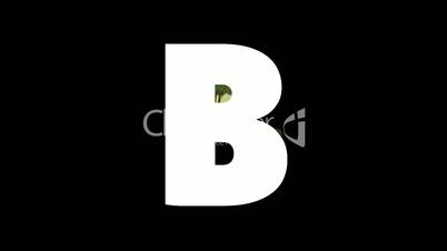 Letter B and Bird on background