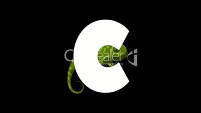 Letter C and Chameleon on background